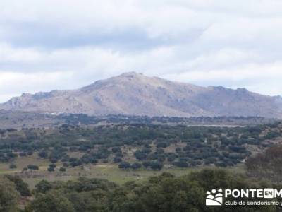 Puentes del Río Manzanares;caminata rápida;senderismo a medida